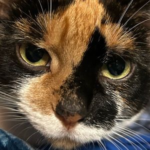 Meet your Posher, Nolan